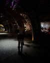 estr3iia Altpins Profile Picture