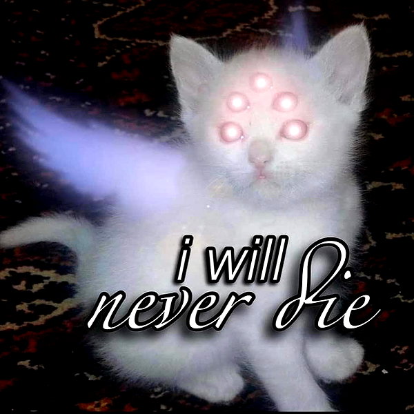 etherealunae_ etherealunae_ archive image