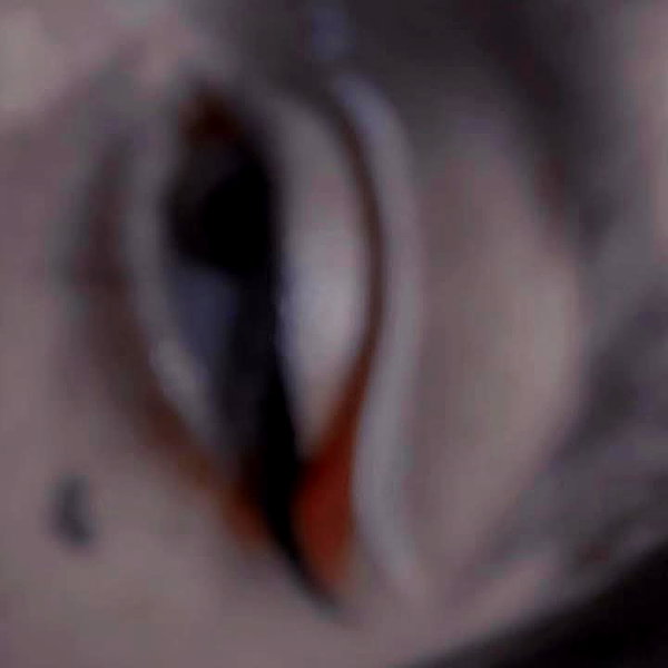 etherealunae_ etherealunae_ archive image