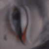 etherealunae_ Altpins Profile Picture