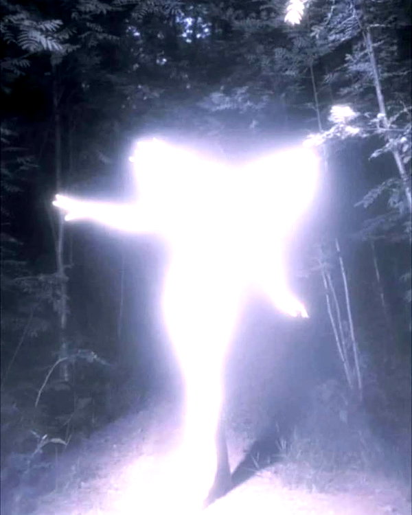 etherealunae_ etherealunae_ archive image