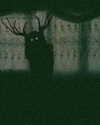 etherealunae_ Altpins Profile Picture