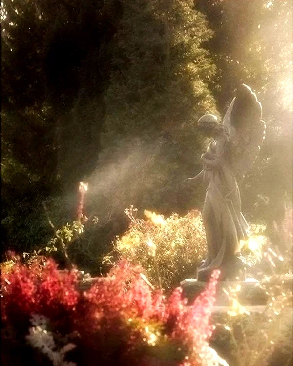 etherealunae_ instagram image archive image