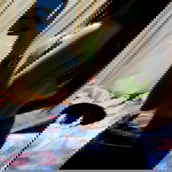 eusandyyh eusandyyh archive image