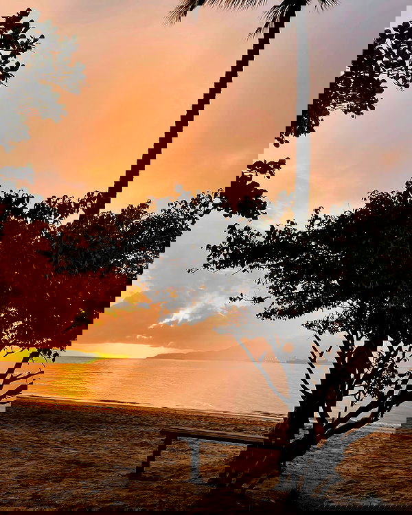 eusandyyh eusandyyh archive image