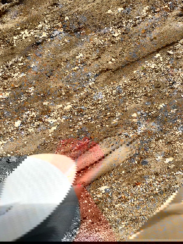 eusandyyh eusandyyh archive image