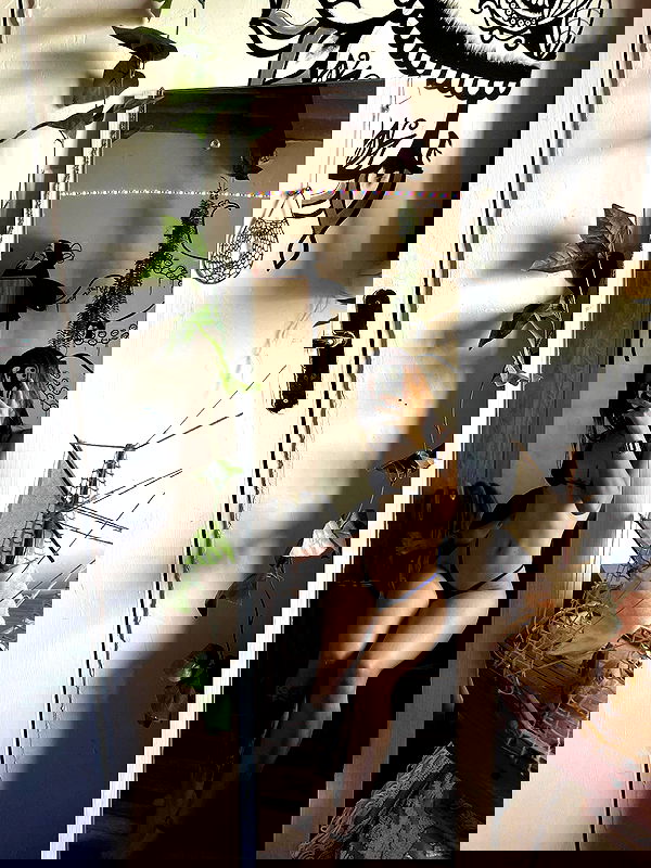 eusandyyh eusandyyh archive image