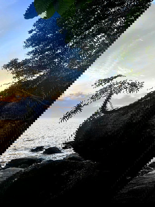 eusandyyh eusandyyh archive image