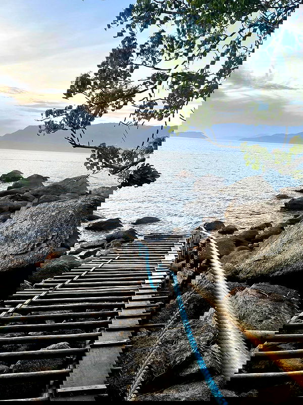 eusandyyh eusandyyh archive image