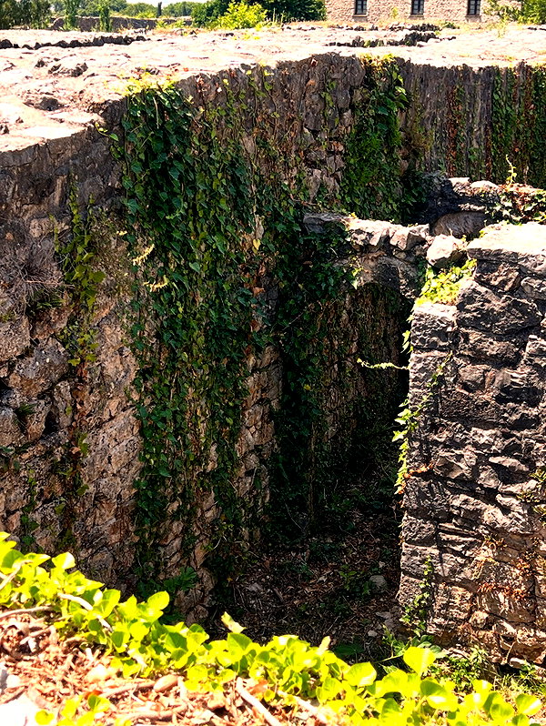 evasela__ instagram image archive image