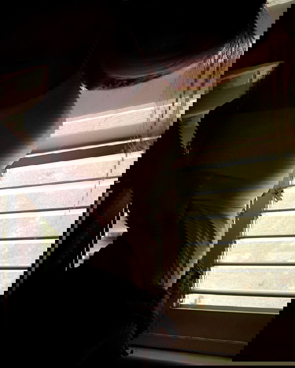 evasidikkk evasidikkk archive image