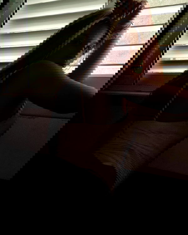 evasidikkk evasidikkk archive image