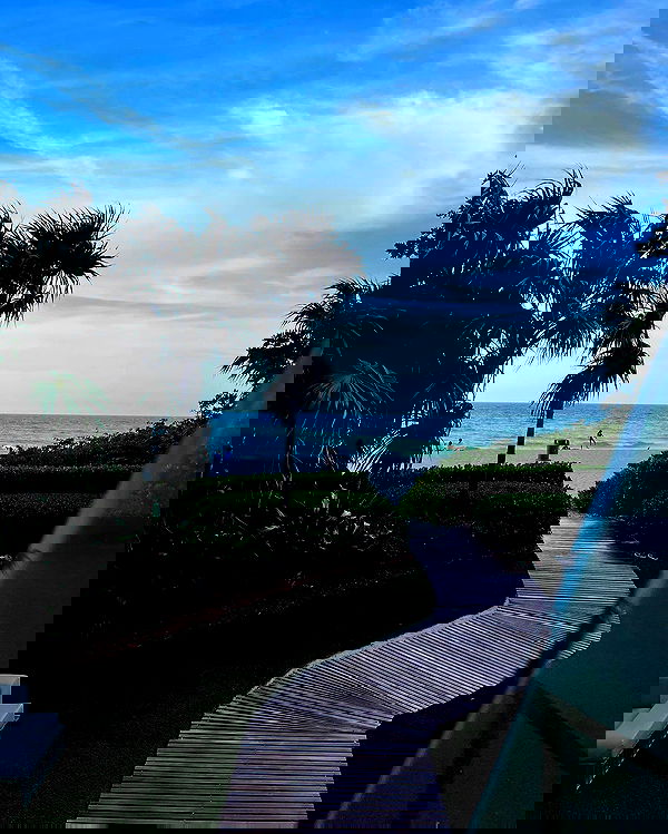 eve__sahar image ~ Altpins