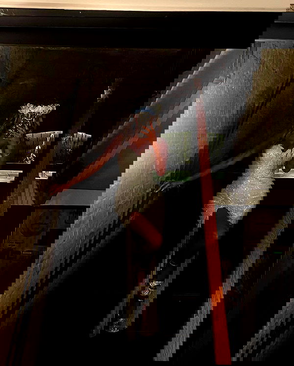 eve__sahar image ~ Altpins