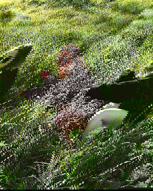 feelbetterinmysweater feelbetterinmysweater archive image