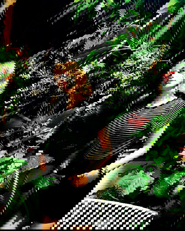 feelbetterinmysweater feelbetterinmysweater archive image