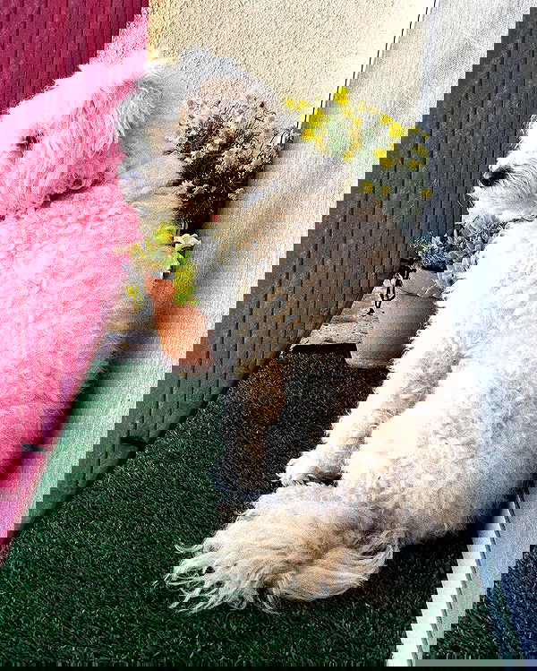 feelbetterinmysweater feelbetterinmysweater archive image