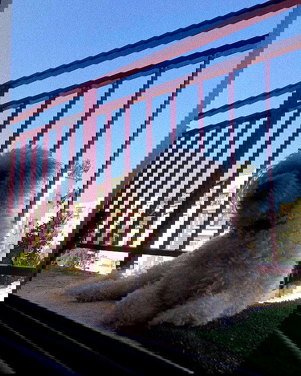 feelbetterinmysweater feelbetterinmysweater archive image