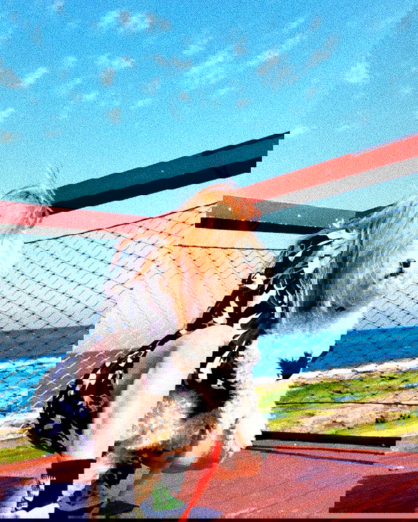 feelbetterinmysweater feelbetterinmysweater archive image