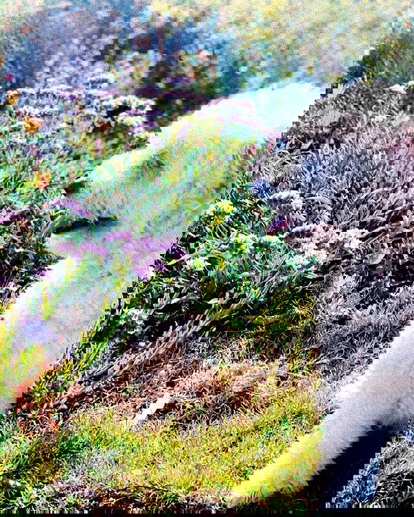 feelbetterinmysweater feelbetterinmysweater archive image