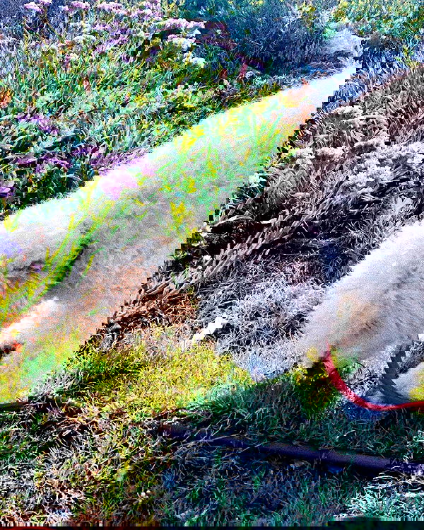 feelbetterinmysweater feelbetterinmysweater archive image