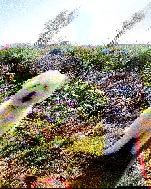 feelbetterinmysweater feelbetterinmysweater archive image