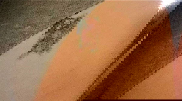 feelbetterinmysweater feelbetterinmysweater archive image