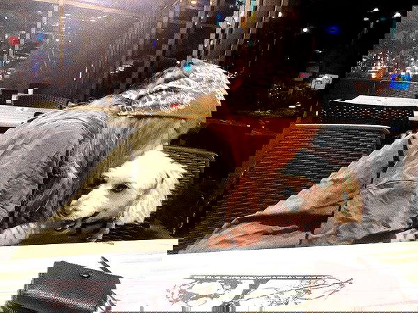 feelbetterinmysweater feelbetterinmysweater archive image