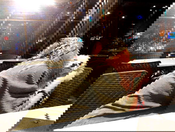 feelbetterinmysweater feelbetterinmysweater archive image