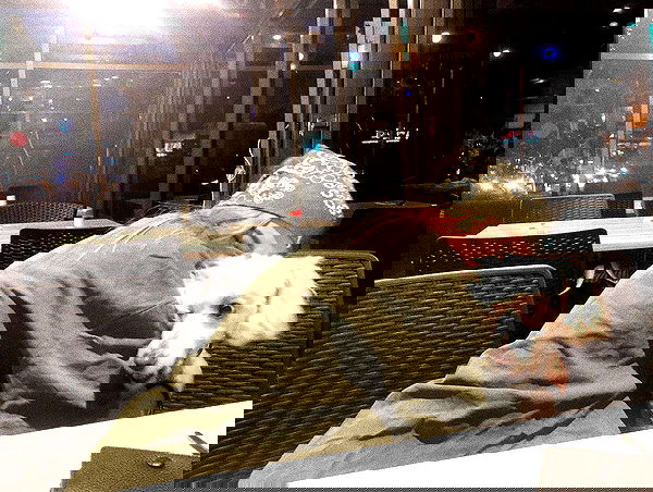 feelbetterinmysweater feelbetterinmysweater archive image