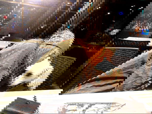 feelbetterinmysweater feelbetterinmysweater archive image