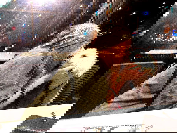 feelbetterinmysweater feelbetterinmysweater archive image