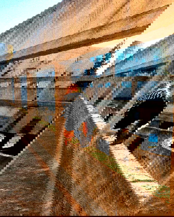 feelbetterinmysweater feelbetterinmysweater archive image