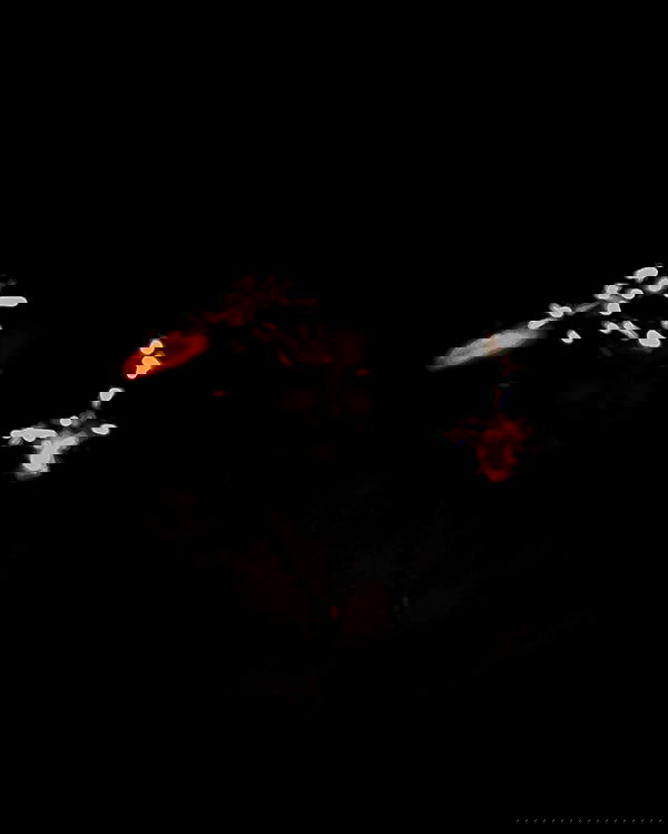 feelbetterinmysweater feelbetterinmysweater archive image