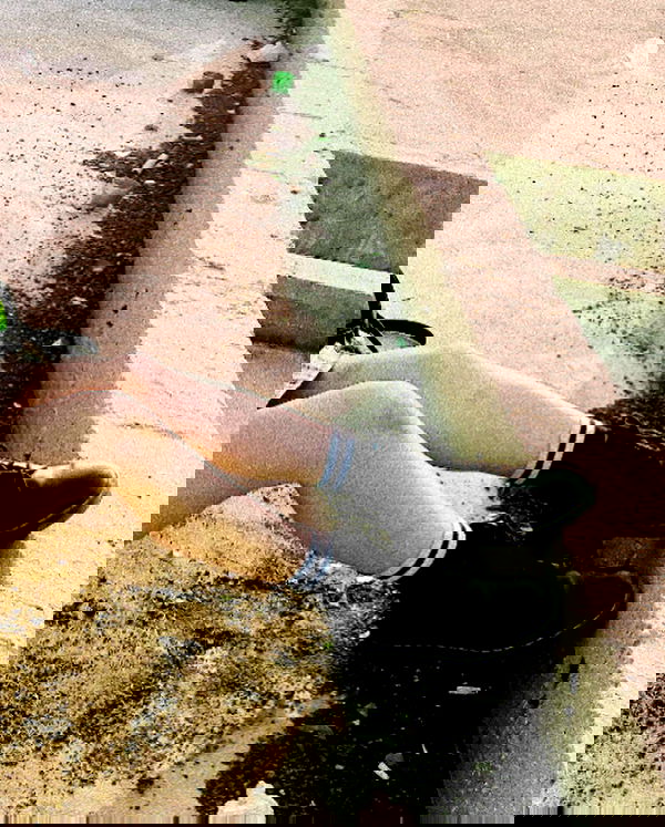 feelbetterinmysweater feelbetterinmysweater archive image