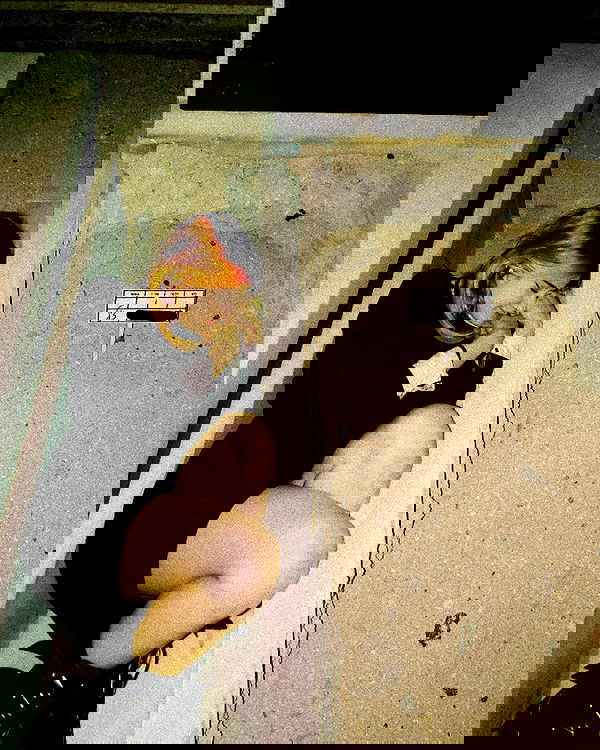 feelbetterinmysweater feelbetterinmysweater archive image