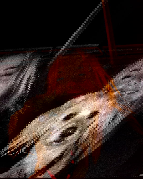 feelbetterinmysweater feelbetterinmysweater archive image