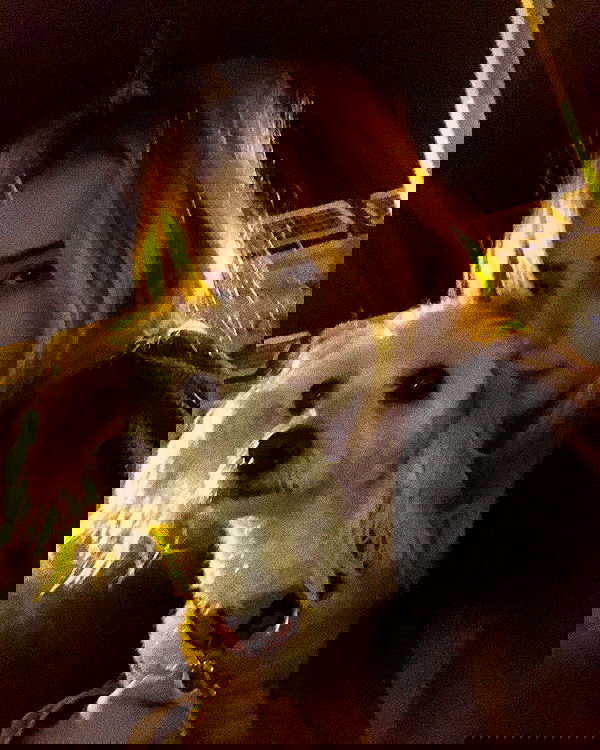 feelbetterinmysweater feelbetterinmysweater archive image