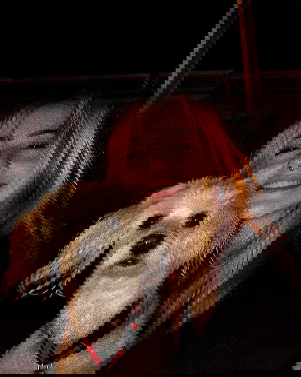 feelbetterinmysweater feelbetterinmysweater archive image