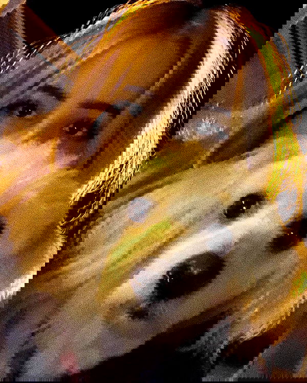 feelbetterinmysweater feelbetterinmysweater archive image