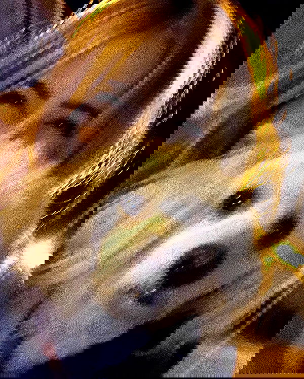 feelbetterinmysweater feelbetterinmysweater archive image