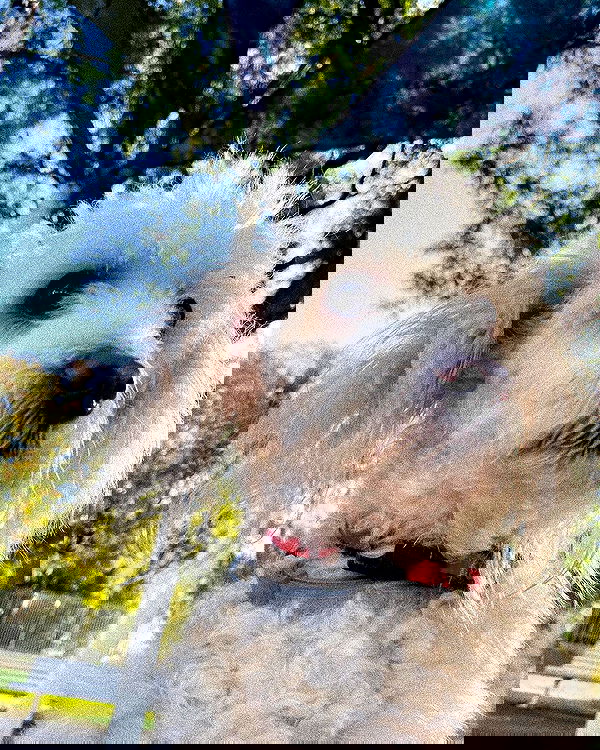 feelbetterinmysweater feelbetterinmysweater archive image