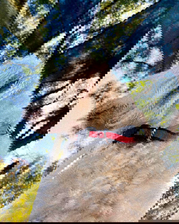 feelbetterinmysweater feelbetterinmysweater archive image