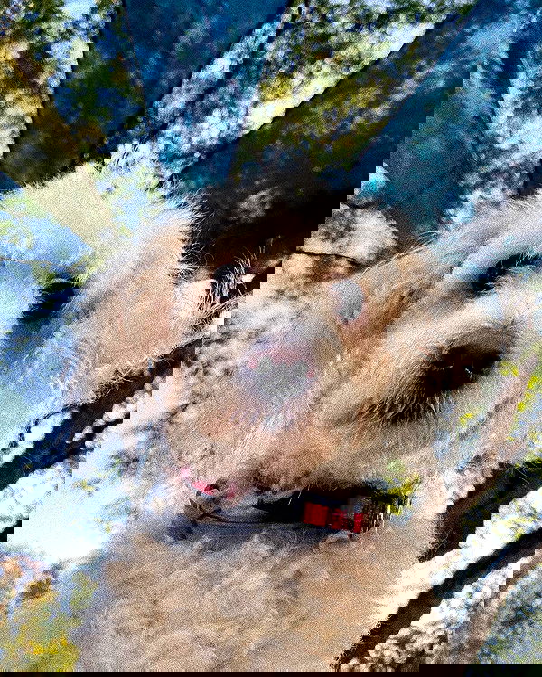 feelbetterinmysweater feelbetterinmysweater archive image