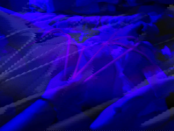 feelbetterinmysweater feelbetterinmysweater archive image