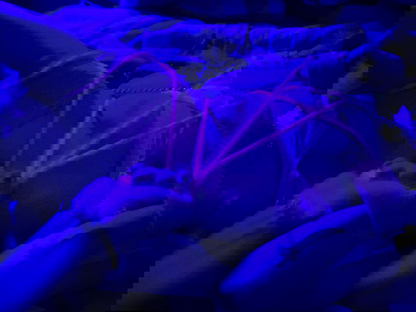 feelbetterinmysweater feelbetterinmysweater archive image