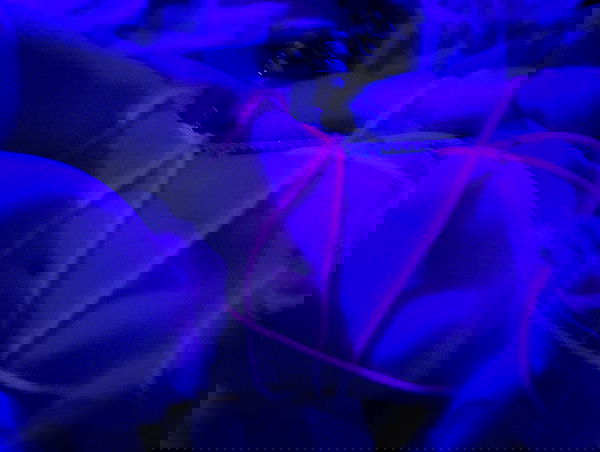 feelbetterinmysweater feelbetterinmysweater archive image