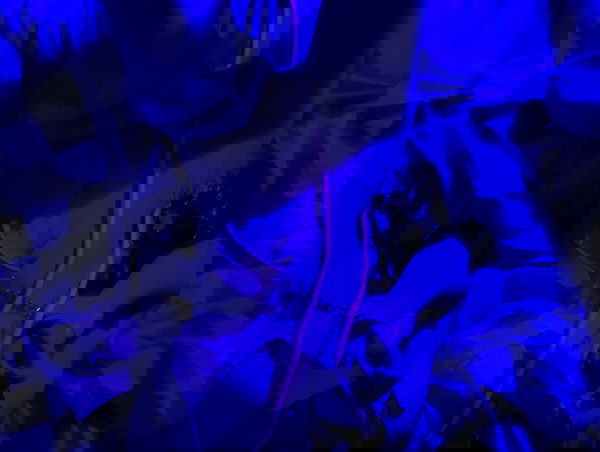 feelbetterinmysweater feelbetterinmysweater archive image