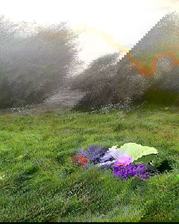 feelbetterinmysweater feelbetterinmysweater archive image