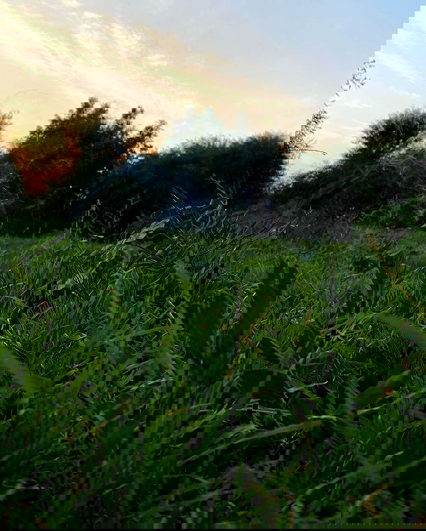 feelbetterinmysweater feelbetterinmysweater archive image